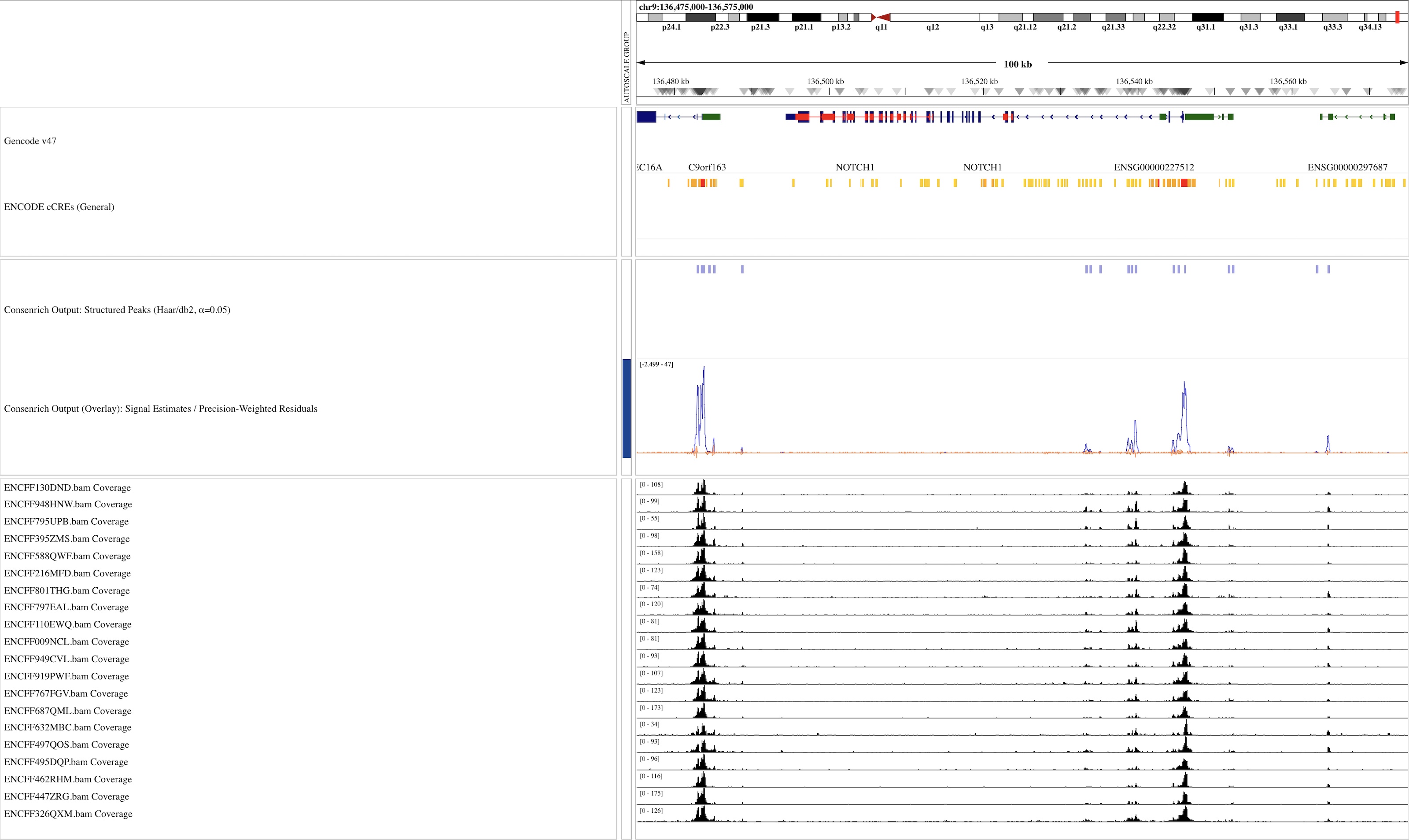 IGV Browser Snapshot