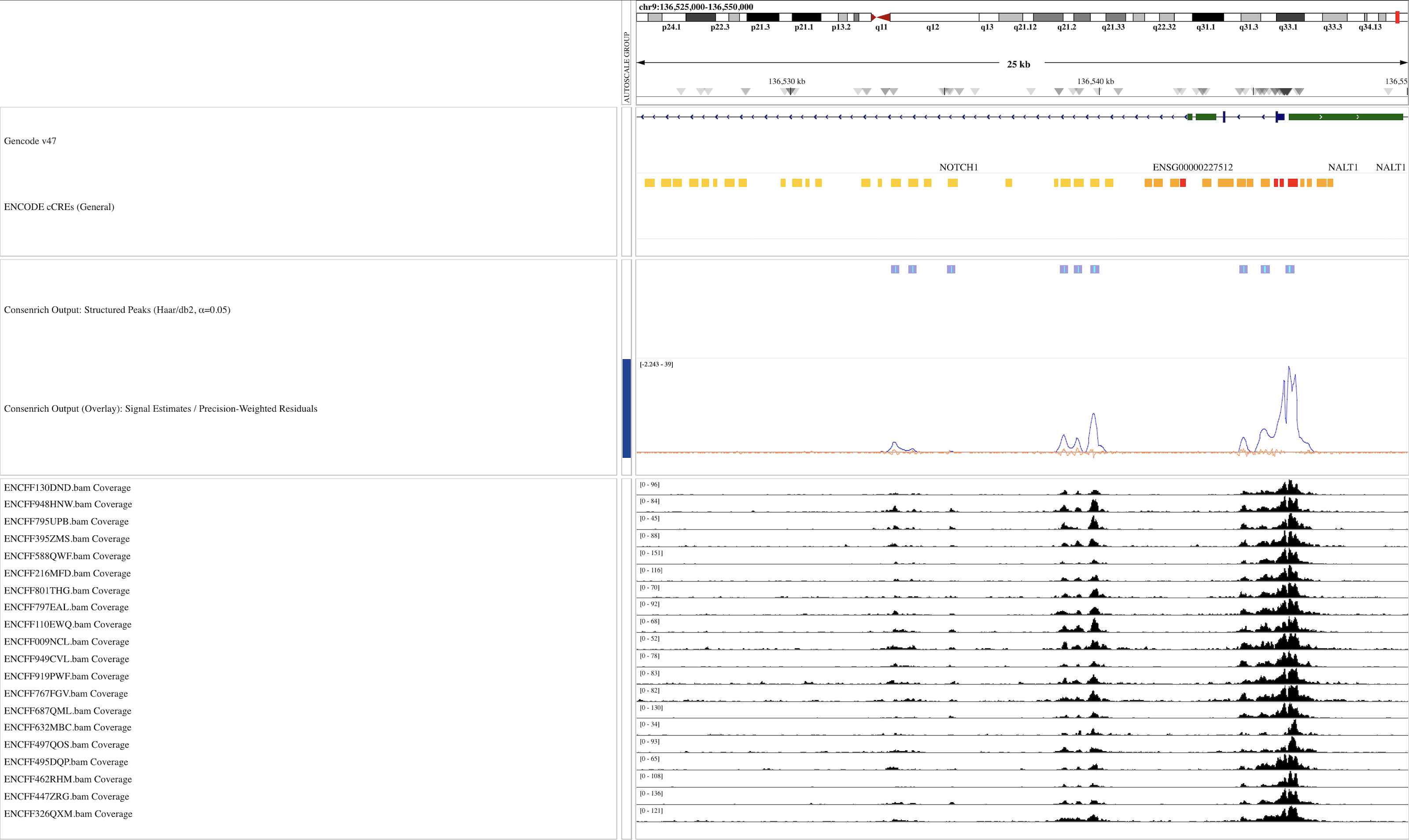 IGV Browser Snapshot (25kb)