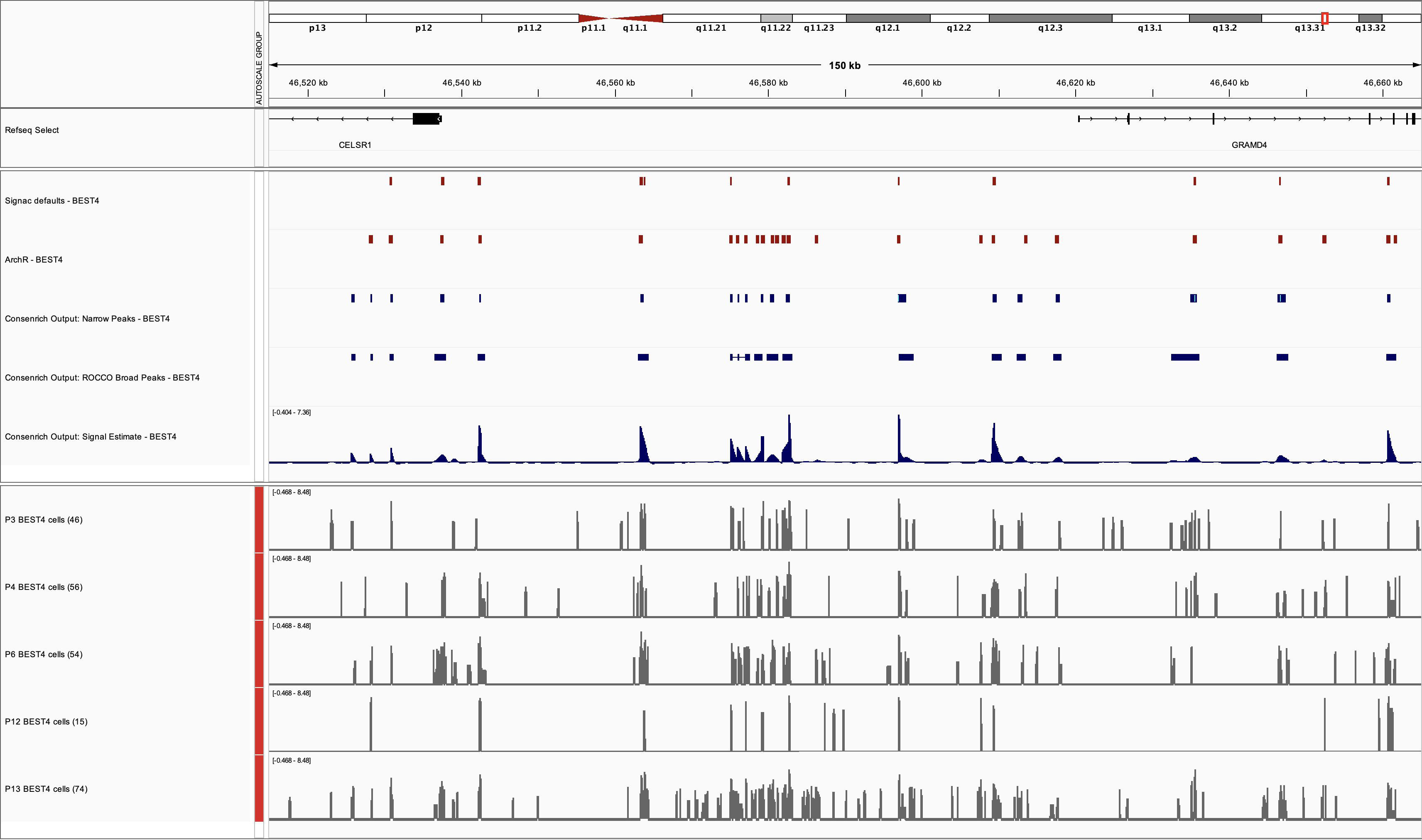 BEST4 donor tracks, Consenrich signal and peaks, and Signac and ArchR peaks in IGV