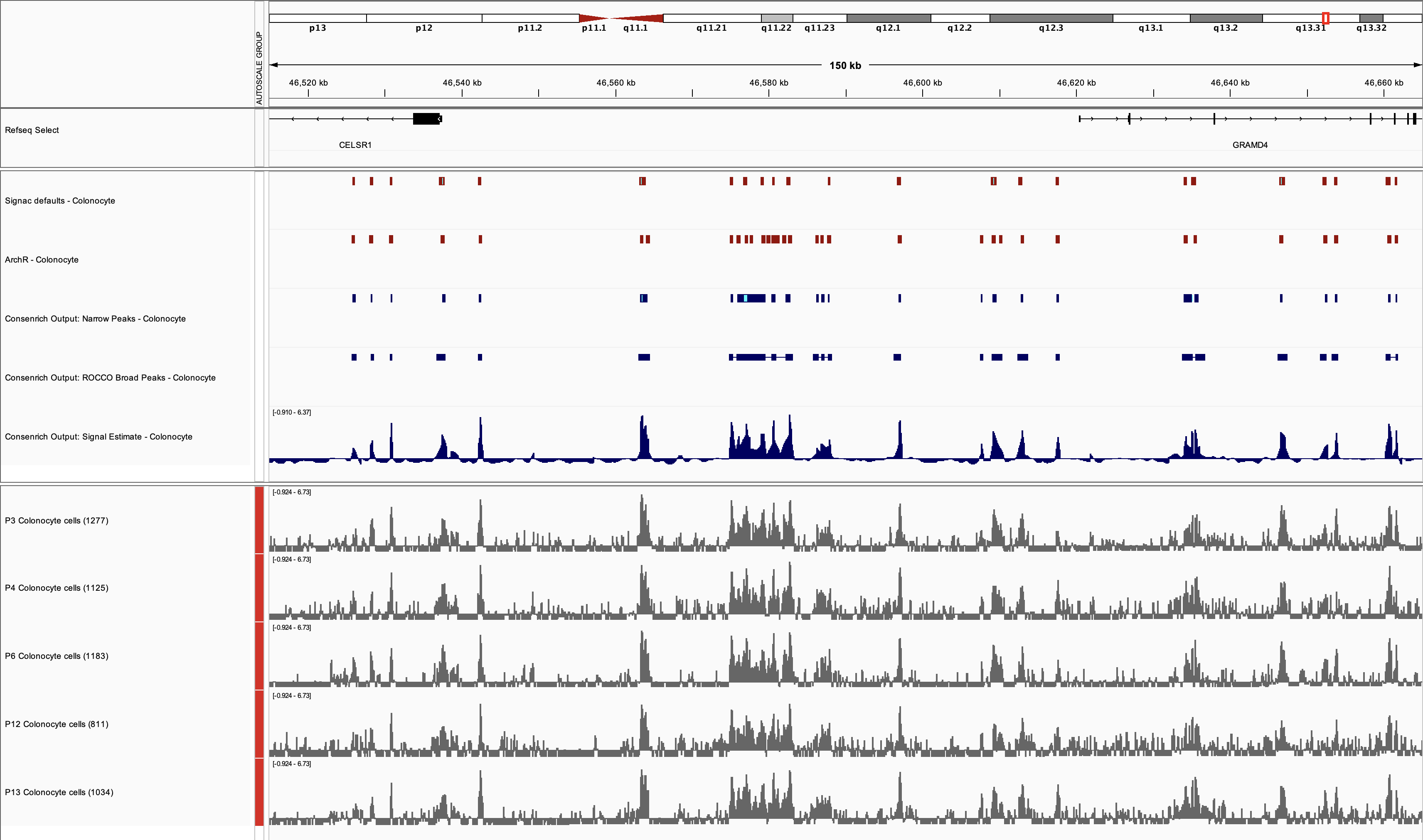 Colonocyte donor tracks, Consenrich signal and peaks, and Signac and ArchR peaks in IGV