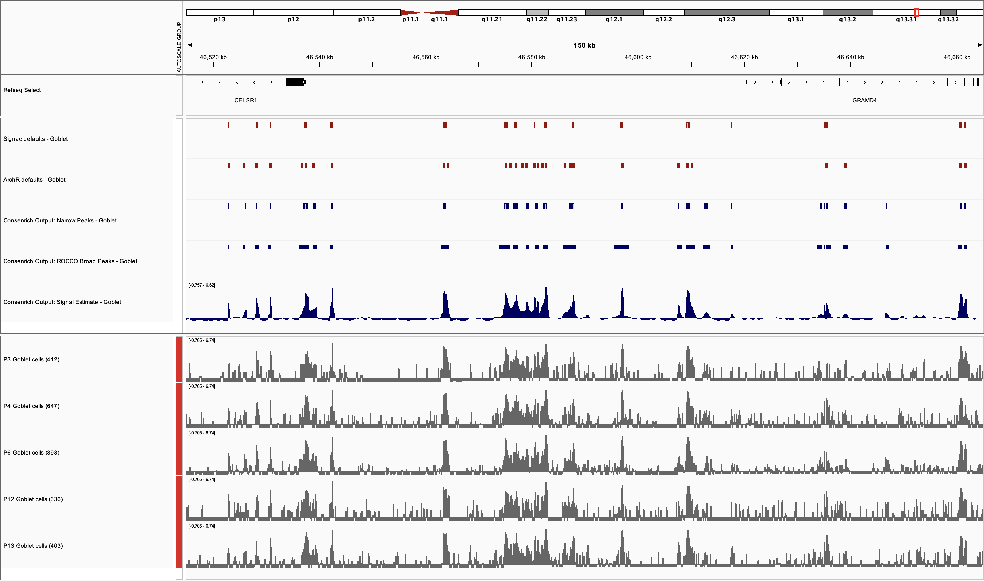 Goblet donor tracks, Consenrich signal and peaks, and Signac and ArchR peaks in IGV